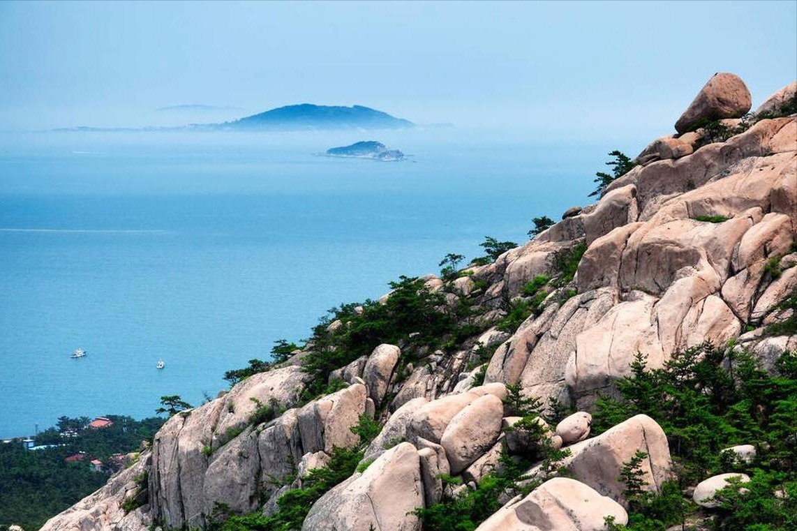 山东致敬,领导与朋友们共聚一堂