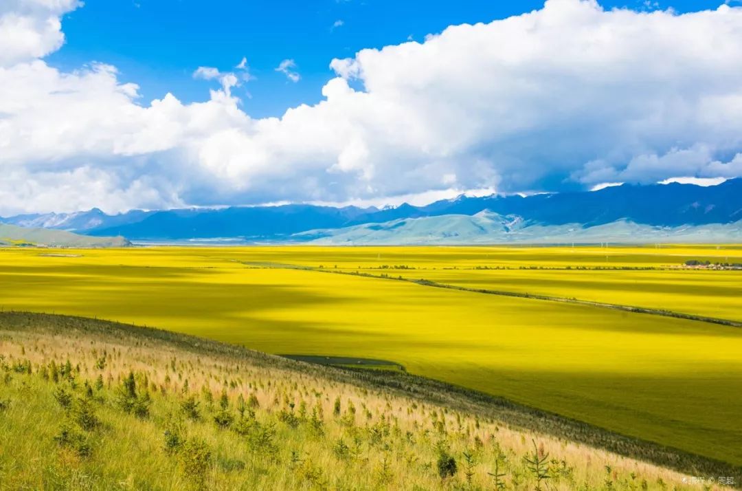 青海，绿色发展的先锋与国家战略的实践样本