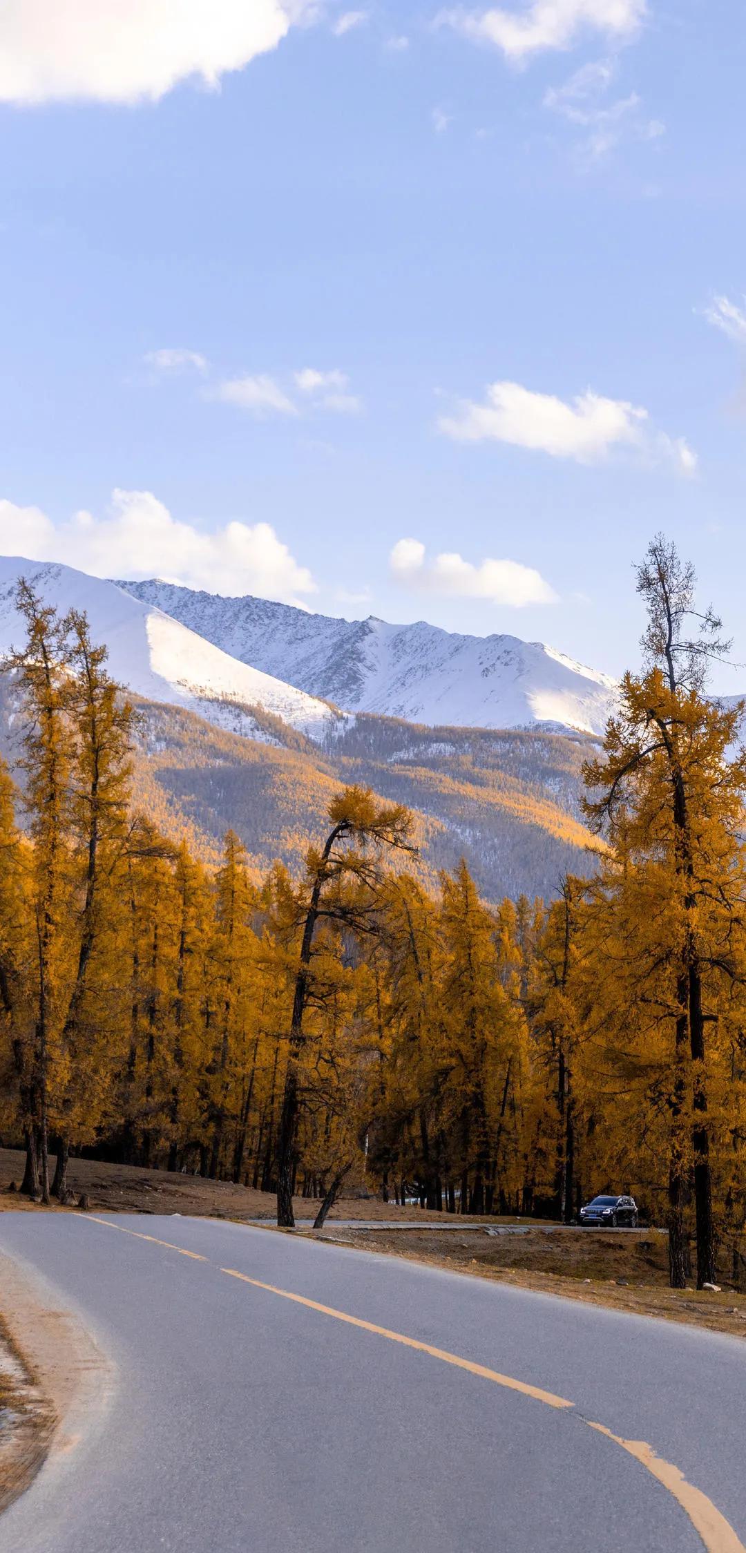 探寻新疆疆域之美,心灵之旅的神秘启程