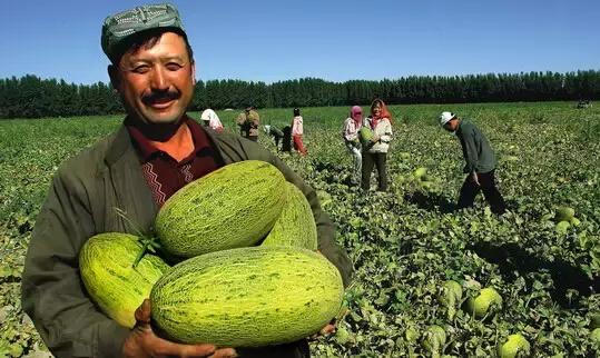 探寻新疆疆域之美,心灵之旅的神秘启程